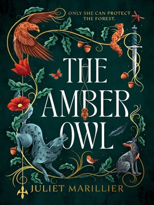 cover image of Amber Owl